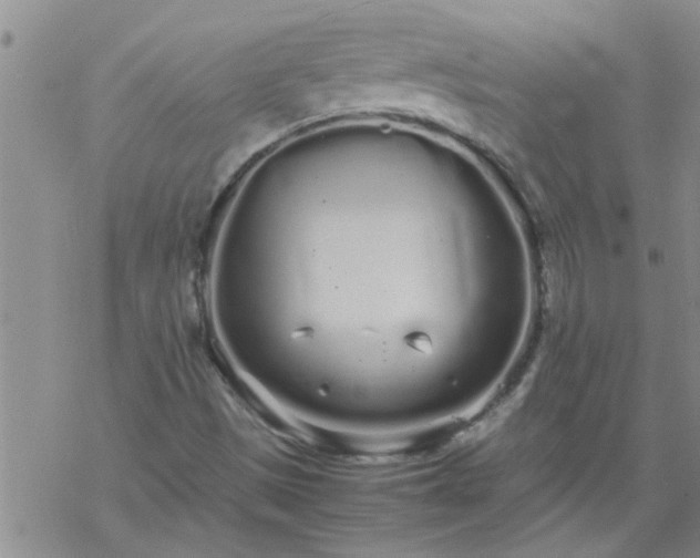 X0000069391497200605192201