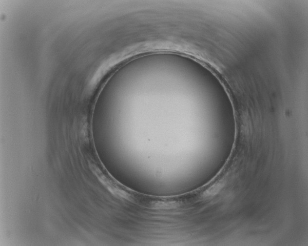 X0000069391499200605192201