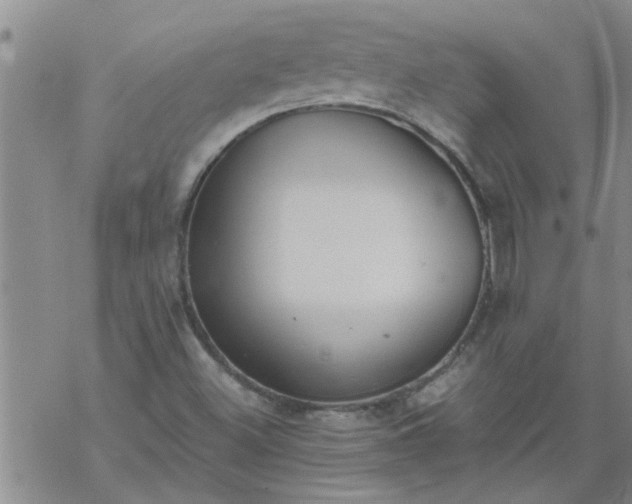 X0000069391500200605192201