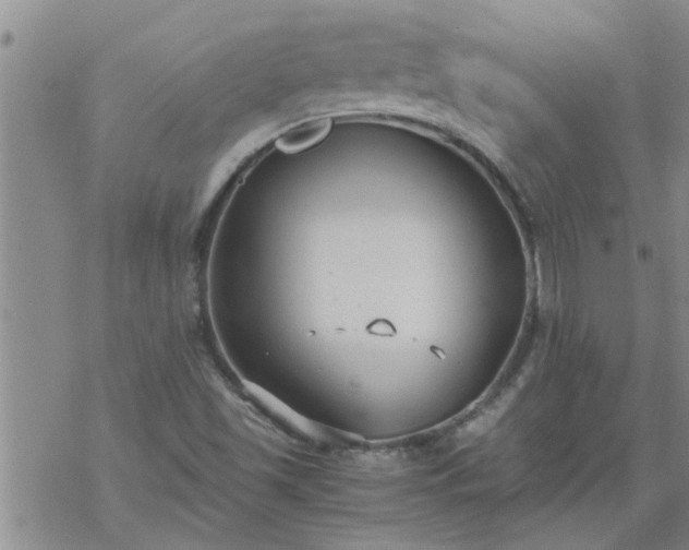 X0000069391501200605192201