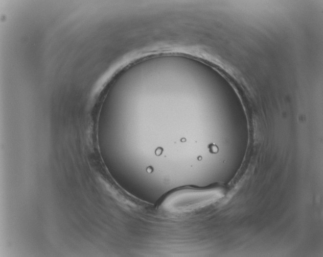 X0000069391502200605192201