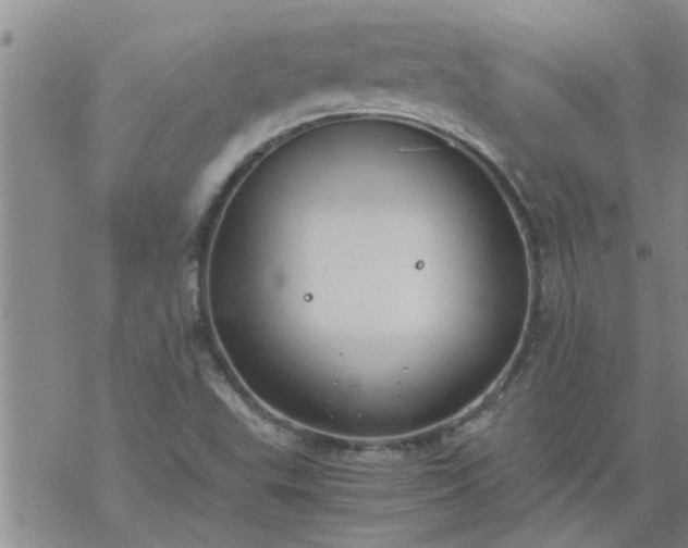 X0000069391503200605192201