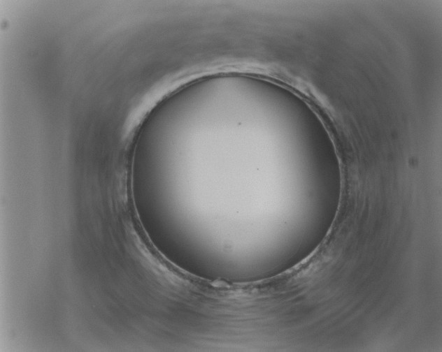 X0000069391504200605192201