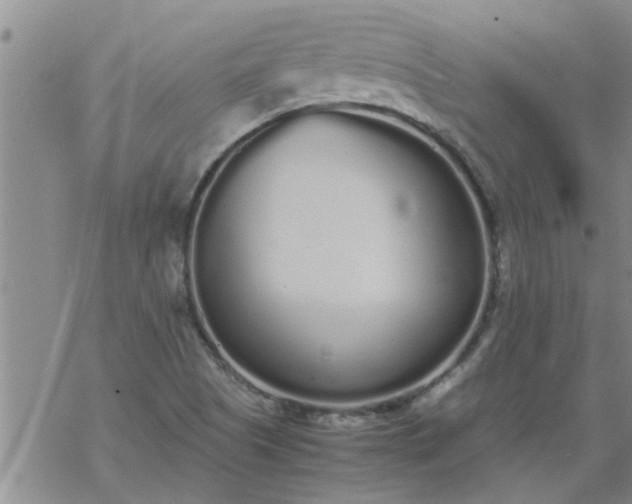 X0000069391505200605192201