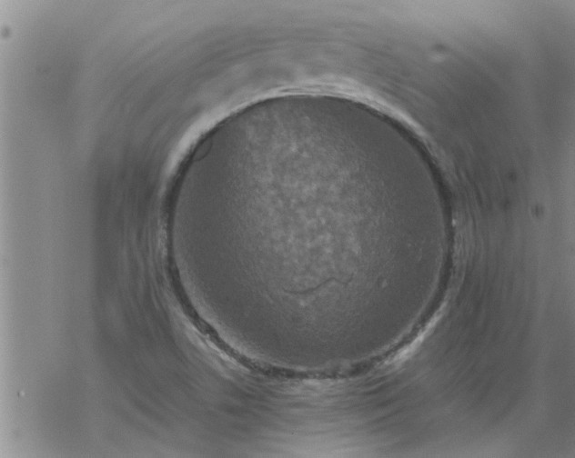 X0000069391506200605192201