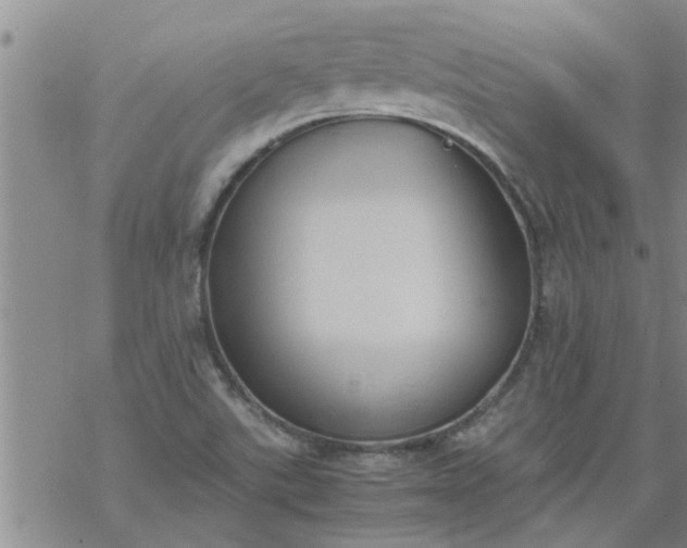 X0000069391507200605192201