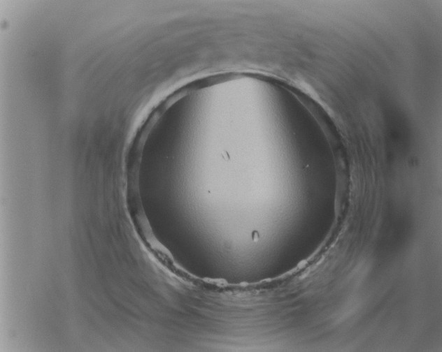 X0000069391508200605192201