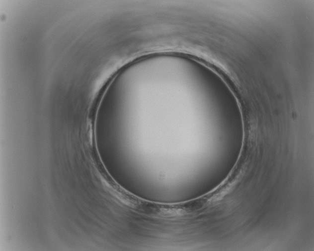 X0000069391509200605192201