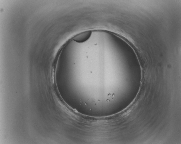 X0000069391510200605192201