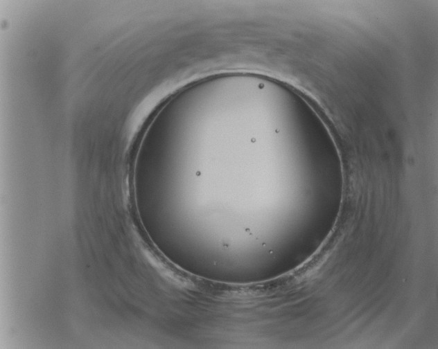 X0000069391511200605192201