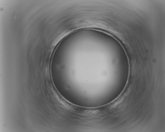 X0000069391513200605192201