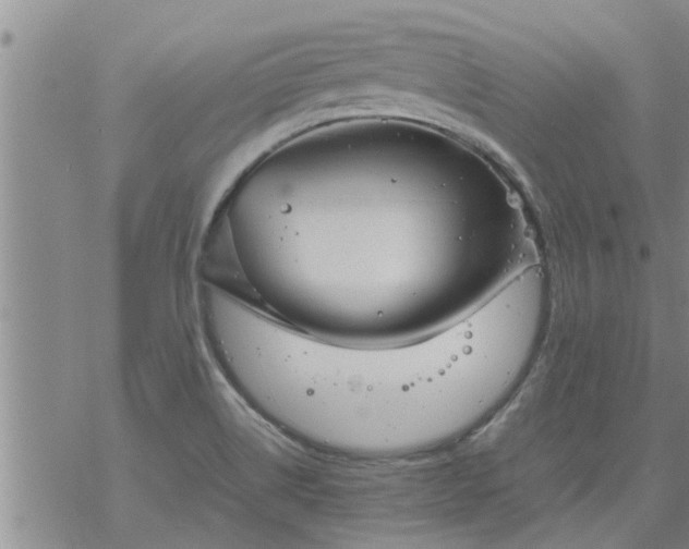 X0000069391514200605192201