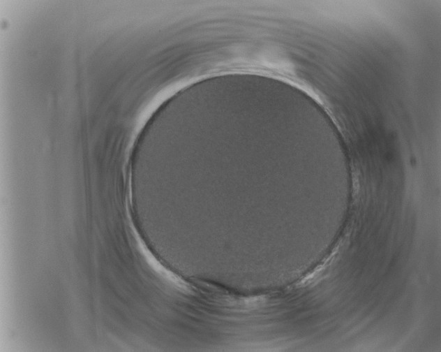 X0000069391515200605192201