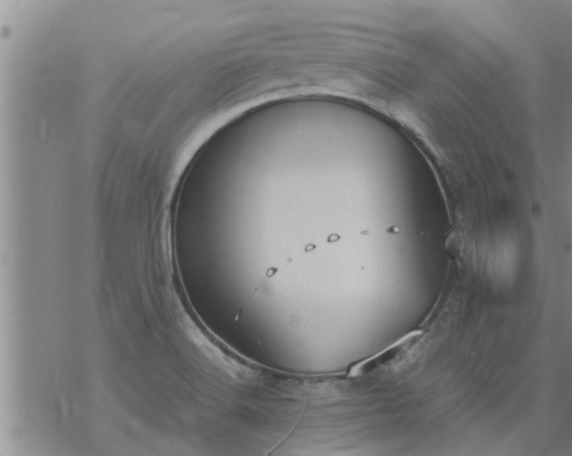 X0000069391516200605192201