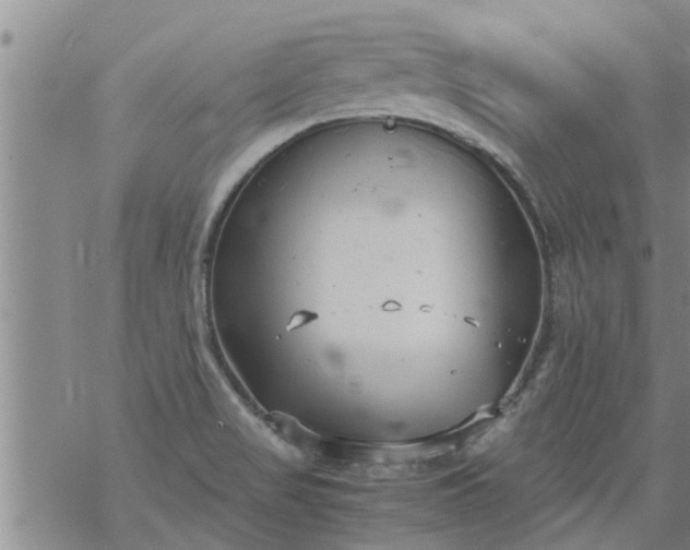 X0000069391517200605192201