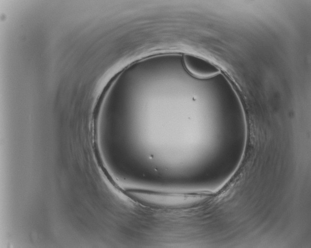 X0000069391519200605192201