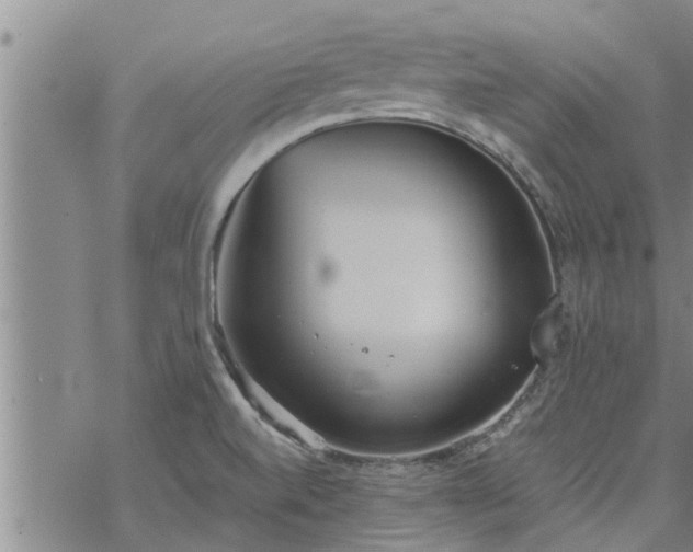 X0000069391520200605192201