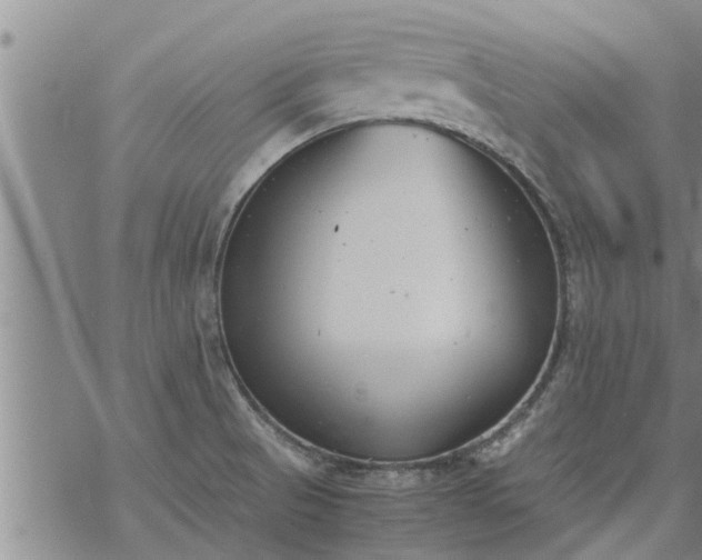 X0000069391521200605192201