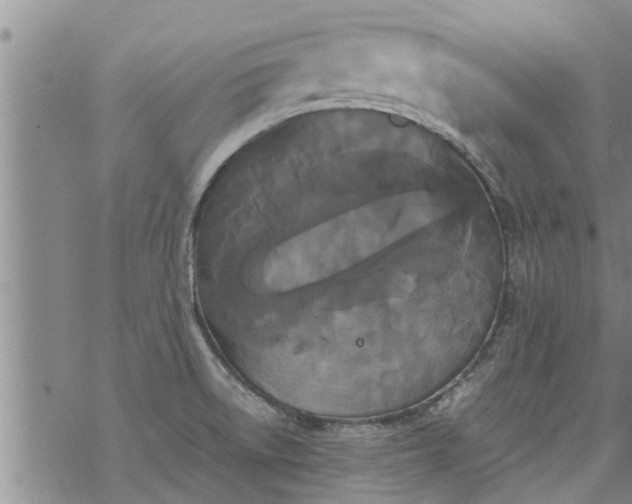 X0000069391522200605192201