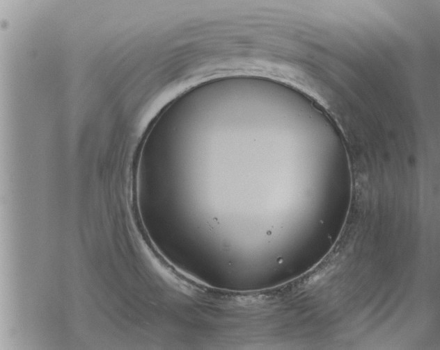 X0000069391523200605192201