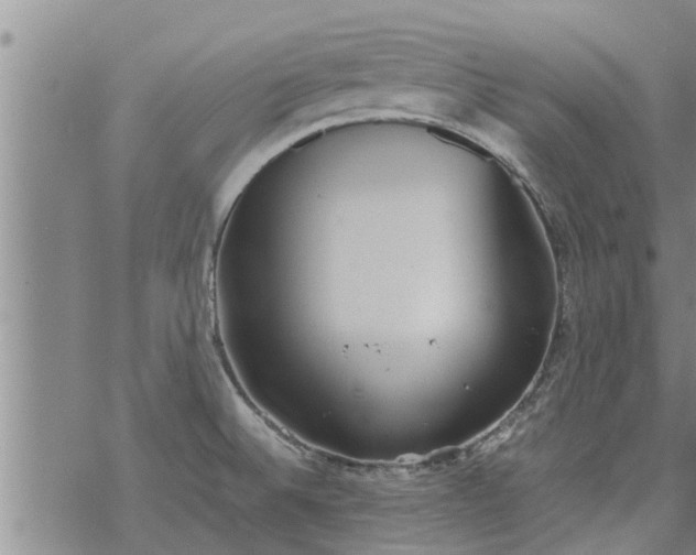 X0000069391524200605192201