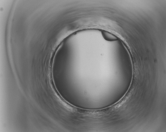 X0000069391525200605192201