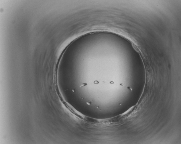 X0000069391527200605192201