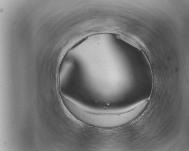 X0000069391528200605192201