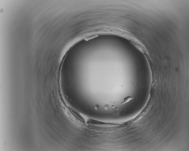 X0000069391530200605192201