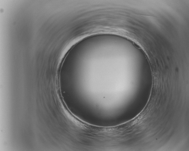 X0000069391531200605192201