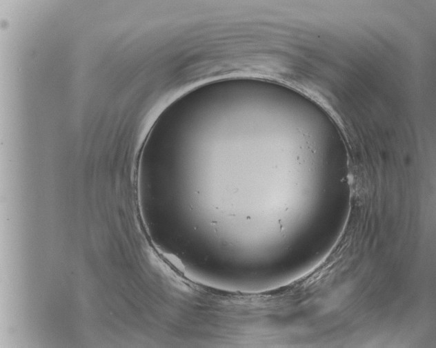 X0000069391532200605192201