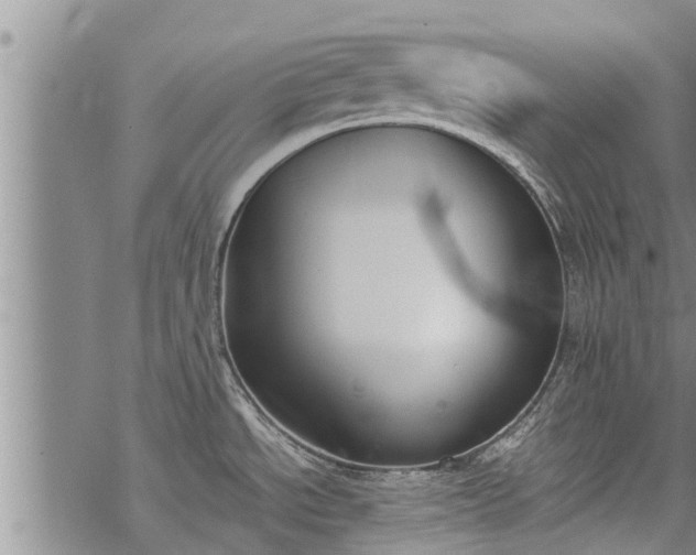 X0000069391534200605192201