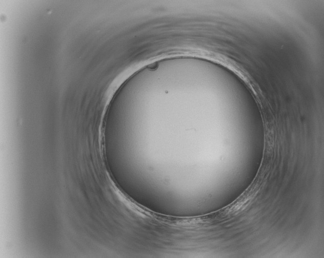 X0000069391535200605192201