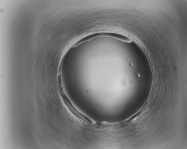 X0000069391536200605192201