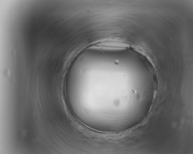 X0000069390001200605262128