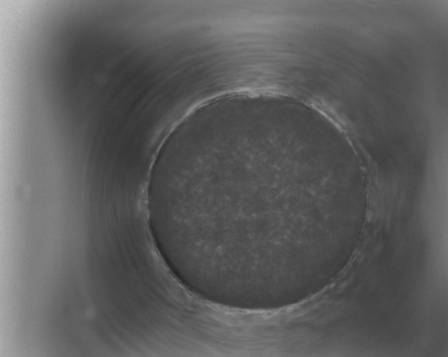 X0000069390002200605262128