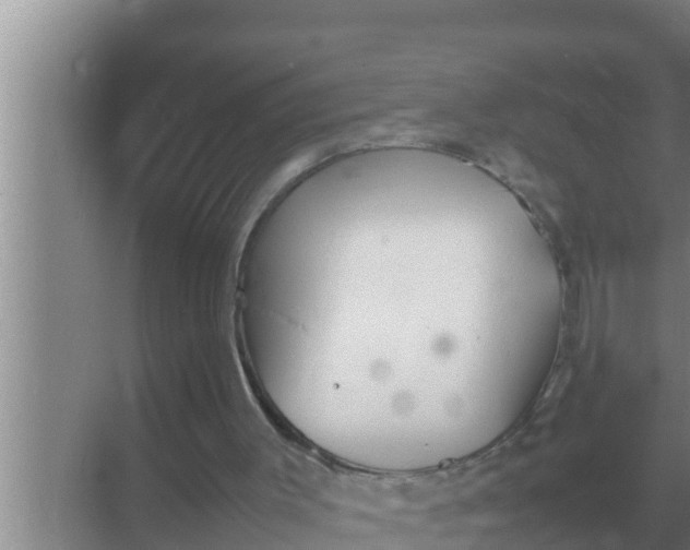 X0000069390003200605262128