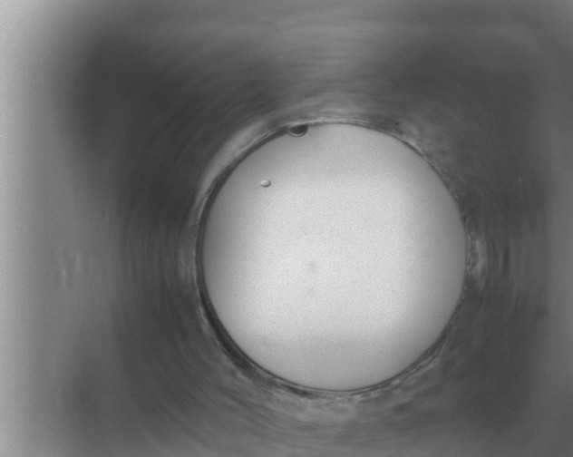 X0000069390004200605262128