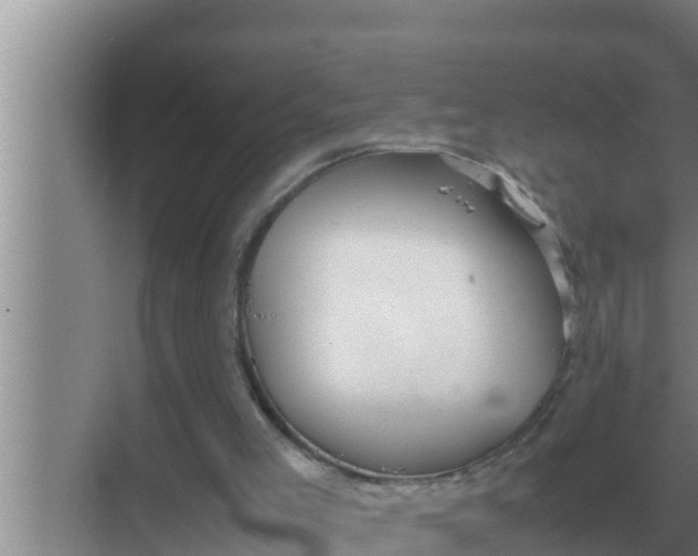 X0000069390005200605262128