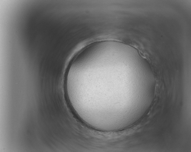 X0000069390006200605262128