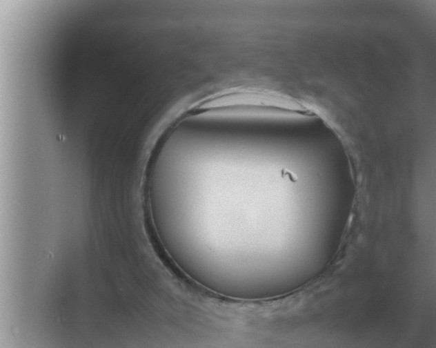 X0000069390007200605262128