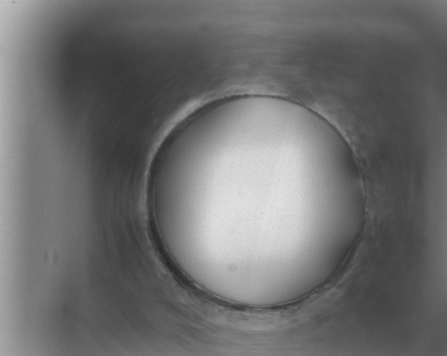 X0000069390008200605262128