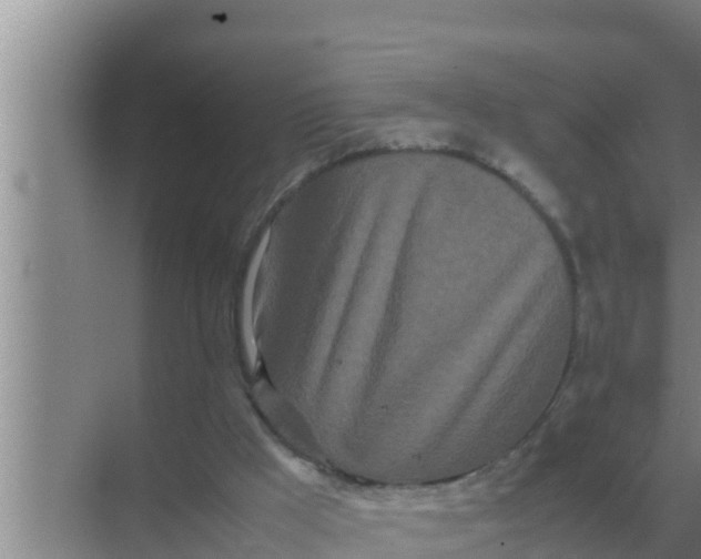 X0000069390009200605262128