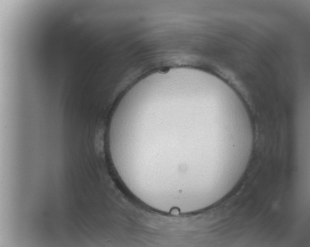 X0000069390010200605262128