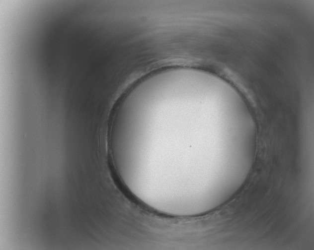 X0000069390011200605262128