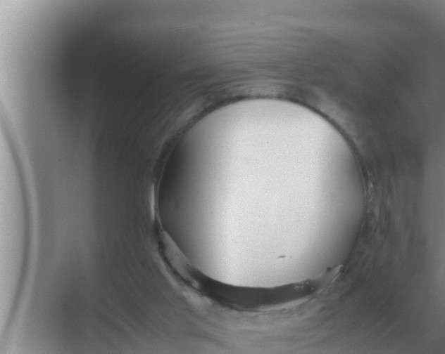 X0000069390013200605262128