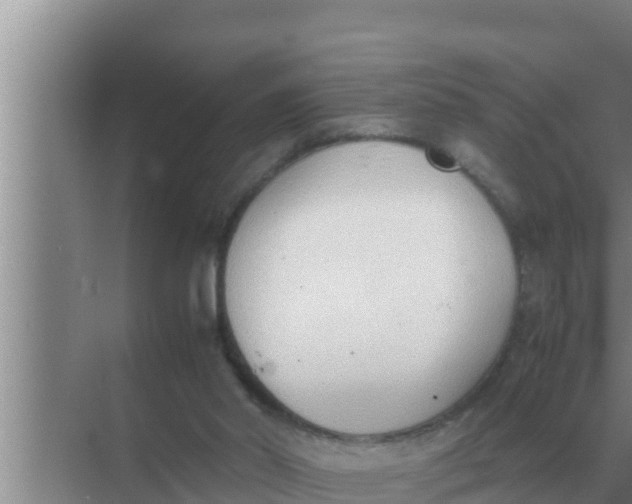 X0000069390014200605262128