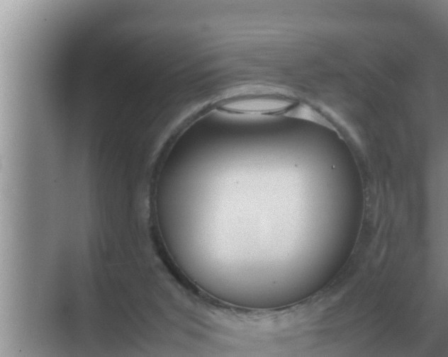 X0000069390015200605262128