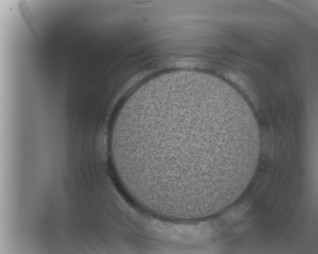 X0000069390016200605262128