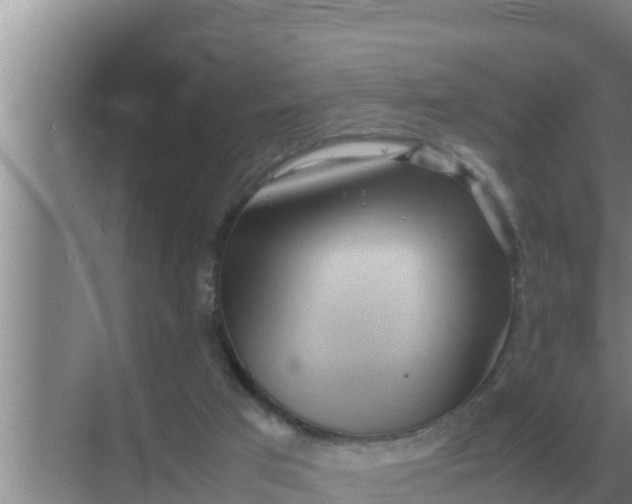 X0000069390017200605262128